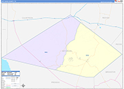 Jeff Davis County Wall Map Color Cast Style